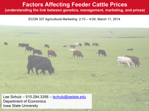 Factors Affecting Feeder Cattle Prices