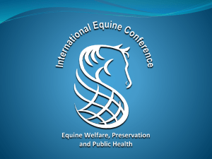 John Holland - Equine Welfare Alliance