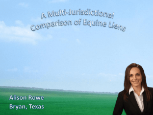 here - Equine Law Blog : Texas Horse Lawyer & Attorney : Alison