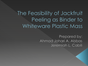 The Feasibility of Jackfruit Peeling as Binder to - ids