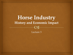 Texas Horse Industry