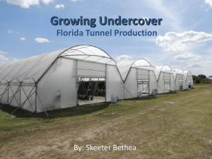 Growing Undercover Florida Tunnel Production