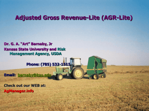 Adjusted Gross Revenue-Lite