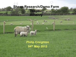 Teagasc Sheep/Research Demo Farm