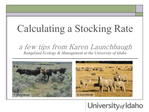 Calculate Stocking Rate