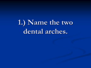 Give the location of the crest of convexivity for the following teeth