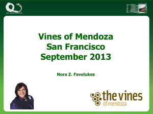 powerpoint - Mendoza - The Vines of Mendoza