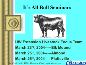 It`s All Bull Seminars