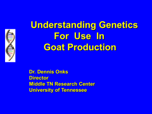 Chapter 6: Understanding Genetics for Use in Goat Production