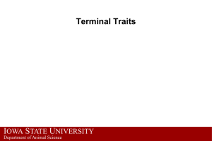 Terminal traits lecture