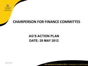 Chairperson for Finance Committee Action Plan