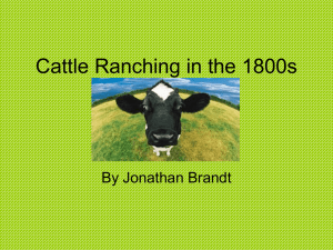Cattle Ranching by Jon - Fremont Christian School