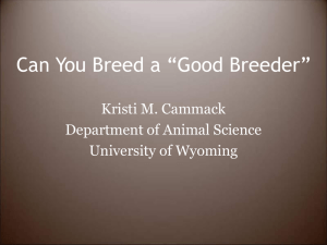 Can You Breed a “Good Breeder”