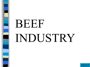 Beef Industry