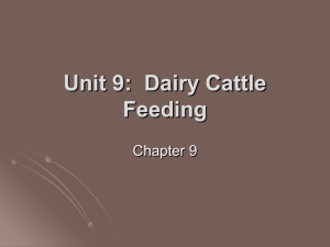 Unit 9: Dairy Cattle Feeding