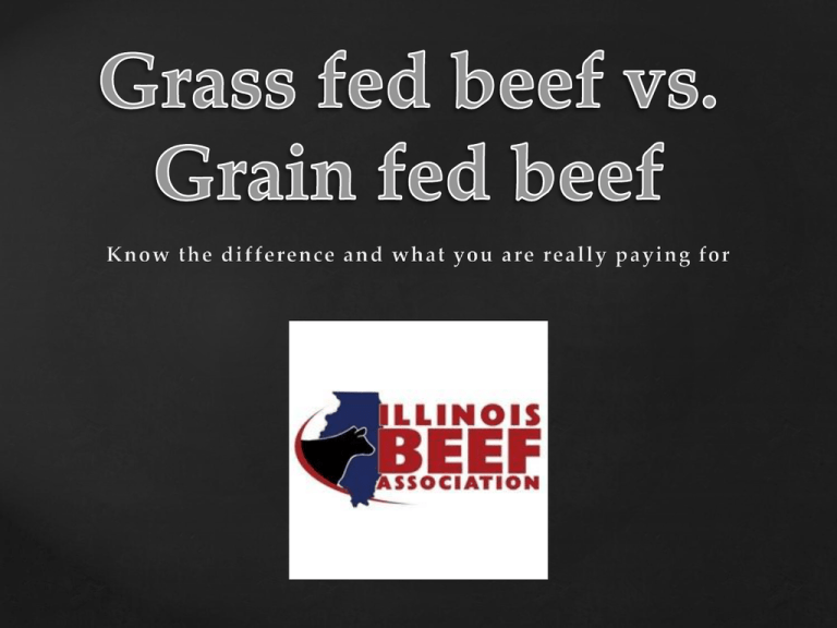 grass-fed-beef-vs-grain-feed-beef