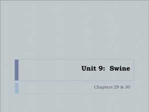 Unit 7: Swine