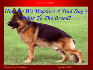 how do we measure a stud dog`s value to the breed