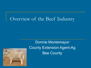 Overview of the Beef Industry