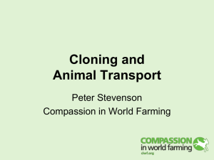 Cloning and Animal Transport – Peter Stevenson
