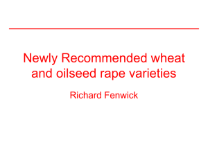 Newly Recommended wheat and oilseed rape varieties