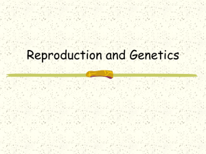E- Reproduction and Genetics
