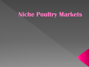 Niche Poultry Markets