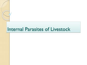 Internal Parasites of Livestock - KCPE-KCSE