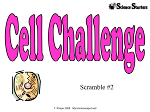 Cell Scramble 2 - The Science Spot