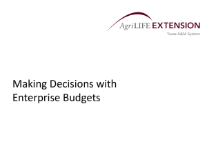 Making Decisions with Enterprise Budgets