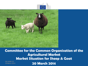 EU beef and veal market A brief overview and some statistical data