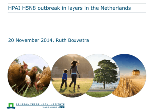 Avian Influenza - Netherlands 2