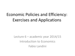6. Economic policies and efficiency
