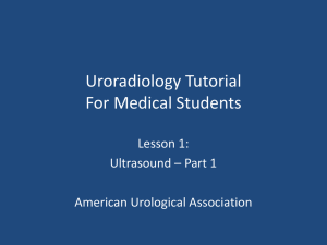 Ultrasound 1 - American Urological Association