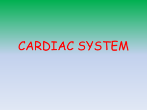 Cardiovascular System Lesson 2 Live Show