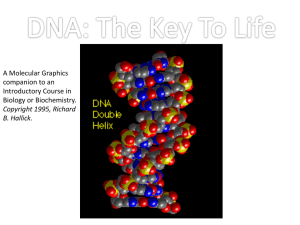 Intro-to-DNA-Structure