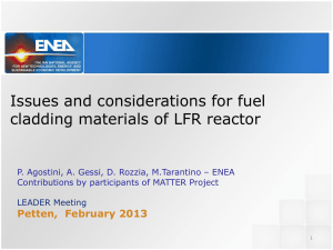 Issues and considerations for fuel cladding materials of