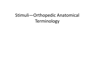 1. Stimuli--Orthopedic Anatomical Terminology