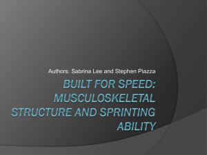 Built for Speed: Musculoskeletal Structure and Sprinting Ability
