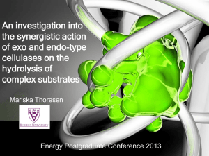 Thoresen_M - Energy Postgraduate Conference