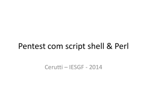 Pentest com script shell & Perl