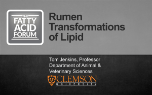 Rumen Transformations of Lipid Biohydrogenation