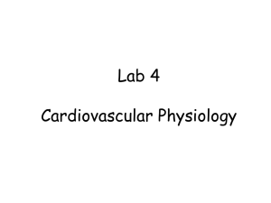 Lab 4 Cardiovascular Physiology Gilbert Pitts, Ph.D., Joseph Schiller