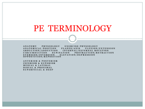 PE terminology - Horton High School
