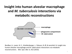 Insight into human alveolar macrophage and M. tuberculosis