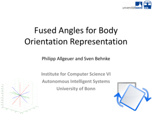 Fused Angles for Body Orientation Representation