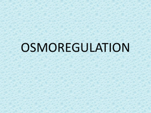 Osmoregulation File