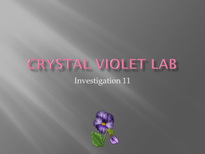 Investigation 11Crystal Violet Lab