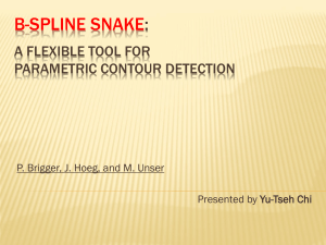 B-Spline Snake: A Flexible Tool for Parametric Contour Detection