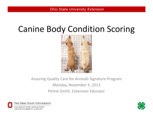 Canine Body Condition Scoring - Ohio 4